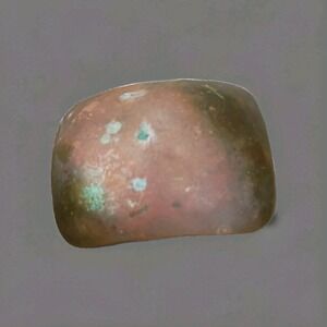 Civil War WWI Military Brass Dress Uniform Plate Collector Americana History